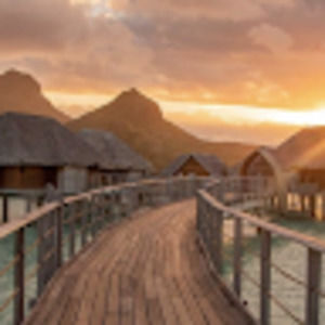 Meet your Posher, Eva